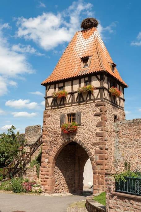 Aux 67 Nuances - Spa Châtenois Exterior foto